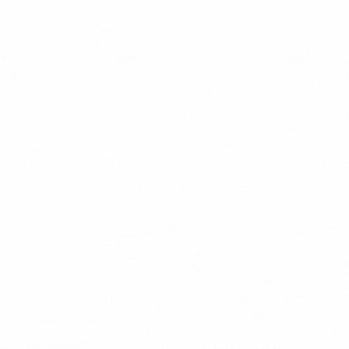Tripz Logo
